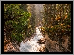 Skały, Rzeka, Maligne River, Drzewa, Maligne Canyon, Park Narodowy Jasper, Kanada