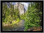 Stany Zjednoczone, Kalifornia, Park Narodowy Yosemite, Góra, El Capitan, Rzeka, Merced River, Drzewa, Krzewy