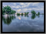 Stany Zjednoczone, Kolorado, Park stanowy, Chatfield State Park, Jezioro, Chatfield Lake, Drzewa