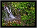 Skały, Wodospad, Beaver Creek Falls, Drzewa, Rośliny, Park Narodowy Olympic, Oregon, Stany Zjednoczone