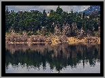 Drzewa, Domy, Zbiornik zaporowy, Jezioro, Navacerrada, Park Narodowy Sierra de Guadarrama, Hiszpania