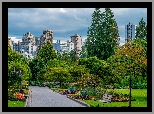 Kanada, Vancouver, Park, Stanley Park, Alejki, Drzewa, Ławka, Domy