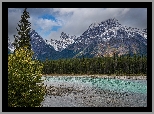 Drzewa, Las, Świerki, Park Narodowy Jasper, Góry, Góra, Mount Edith Cavell, Rzeka, Astoria River, Alberta, Kanada