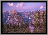 Stany Zjednoczone, Kalifornia, Park Narodowy Yosemite, Drzewa, Góry, Szczyt, Half Dome