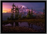 Stany Zjednoczone, Waszyngton, Mount Rainier, Las, Niebo, Góry, Drzewa, Kamienie, Zachód słońca