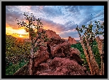 Stany Zjednoczone, Kolorado, Garden of the Gods, Góry, Skały, Drzewa, Wschód słońca