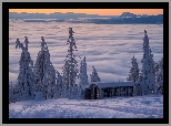 Zima, Beskid Żywiecki, Góry, Szopa, Ośnieżone, Drzewa, Mgła, Hala Rysianka, Polska