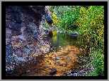 West Fork Oak Creek, Sedona, Arizona, Stany Zjednoczone, Las, Drzewa, Rzeka, Skały