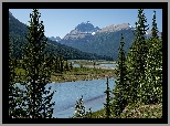 Góry, Canadian Rockies, Rzeka, Saskatchewan River, Drzewa, Park Narodowy Banff, Kanada