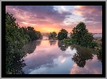 Rzeka, River Stour, Drzewa, Mgła, Chmury, Anglia