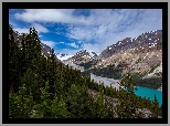 Kanada, Prowincja Alberta, Park Narodowym Banff, Jezioro, Peyto Lake, Góry, Las, Drzewa