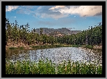 Góry, Jezioro, Hulsey Lake, Drzewa, Trawa, Arizona, Stany Zjednoczone