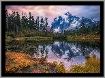 Góry, Góra, Mount Shuksan Drzewa, Jezioro, Picture Lake, Odbicie, Stan Waszyngton, Stany Zjednoczone, Park Narodowy Północnych Gór Kaskadowych