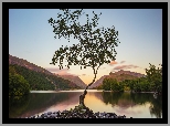 Jezioro Llyn Padarn, Drzewo, Kamienie, Góry, Park Narodowy Snowdonia, Walia, Wielka Brytania