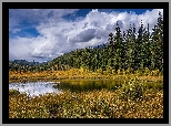 Jezioro, Drzewa, Świerki, Trawa, Szczyty, Góry, Chmury, Park Narodowy Jasper, Alberta, Kanada