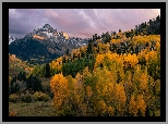 Stany Zjednoczone, Kolorado, Mount Sneffels, Jesień, Góry, Las, Drzewa, Chmury, Niebo