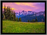 Stany Zjednoczone, Stan Waszyngton, Park Narodowy Mount Rainier, Góry, Śnieg, Drzewa, Trawa, Kolorowe, Niebo