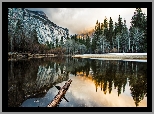 Góry, Rzeka, Merced River, Drzewa, Las, Odbicie, Park Narodowy Yosemite, Kalifornia, Stany Zjednoczone