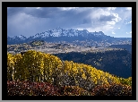 Góry, San Juan Mountains, Jesień, Las, Drzewa, Kolorado, Stany Zjednoczone