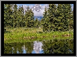 Drzewa, Rzeka, Góry, Chmury, Park Narodowy Grand Teton, Wyoming, Stany Zjednoczone