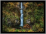 Wodospad, Multnomah Falls, Most, Skały, Drzewa, Hrabstwo Multnomah, Oregon, Stany Zjednoczone