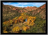 Jesień, Drzewa, Góry, Rzeka, Kanion Sycamore, Arizona, Stany Zjednoczone