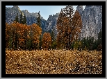 Park Narodowy Yosemite, Drzewa, Jesień, Pożółkła, Trawa, Góry, Szczyt Cathedral Peak, Kalifornia, Stany Zjednoczone