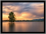 Wschód słońca, Drzewa, Jezioro, Lake Chatfield, Niebo, Park stanowy Chatfield, Kolorado, Stany Zjednoczone