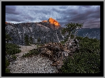 Góry, Szczyt Half Dome, Drzewa, Konar, Park Narodowy Yosemite, Kalifornia, Stany Zjednoczone