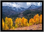 Stany Zjednoczone, Kalifornia, Eastern Sierra, Sonora Pass, Góry, Drzewa, Chmury, Jesień