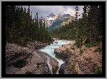 Rzeka, Mistaya River, Skały, Las, Drzewa, Góry, Canadian Rockies, Góra, Mount Sarbach, Park Narodowy Banff, Alberta, Kanada