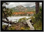 Porośnięte, Góry, Jezioro, Upper Hadlock Lake, Drzewa, Kładka, Park Narodowy Acadia, Stan Maine, Stany Zjednoczone