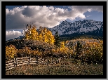 Jesień, Pożółkłe, Drzewa, Ogrodzenie, Góry, San Juan Mountains, Chmury, Kolorado, Stany Zjednoczone