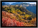 Stany Zjednoczone, Kolorado, Telluride, Jesień, Góry, San Juan Mountains, Kolorowe, Drzewa