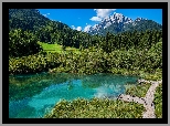 Góry, Las, Drzewa, Jezioro, Rezerwat przyrody Zelenci, Trawa, Pomosty, Kranjska Gora, Słowenia