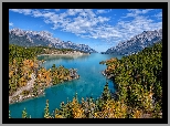 Góry Skaliste, Canadian Rockies, Jezioro, Abraham Lake, Lasy, Drzewa, Alberta, Kanada