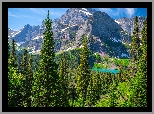 Stany Zjednoczone, Montana, Park Narodowy Glacier, Góry, Jezioro, Grinnell Lake, Lasy, Drzewa