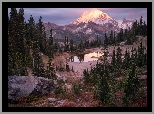 Stratowulkan, Góra, Mount Rainier, Drzewa, Jezioro, Tipsoo Lake, 
Park Narodowy Mount Rainier, Waszyngton, Stany Zjednoczone