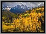 Jesień, Stany Zjednoczone, Kolorado, Szczyt, Mount Sneffels, Góry Skaliste, Lasy, Drzewa, Chmury