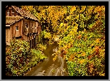 Młyn, Cedar Creek Grist Mill, Rzeka, Lewis River, Drzewa, Las, Jesień, Woodland, Stan Waszyngton, Stany Zjednoczone