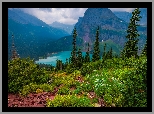 Park Narodowy Glacier, Montana, Stany Zjednoczone, Drzewa, Góry, Jezioro, Grinnell Lake, Rośliny, Chmury