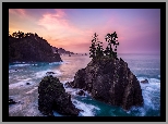 Morze, Skały, Drzewa, Wysepka, Wybrzeże, Wschód słońca, Park stanowy, Samuel H Boardman State Scenic Corridor, Oregon, Stany Zjednoczone