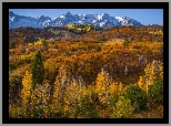 Góry, San Juan Mountains, Przełęcz, Dallas Divide, Jesień, Las, Drzewa, Kolorado, Stany Zjednoczone