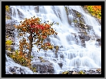 Jesień, Drzewo, Skały, Wodospad, Mae Ya Waterfall, Park Narodowy Doi Inthanon, Chiang Mai, Tajlandia