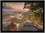 Park Narodowy Saskiej Szwajcarii, Góry Połabskie, Skały, Drzewo, Ławka, Niemcy