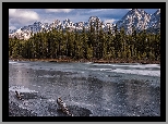 Drzewa, Las, Jezioro, Spillway Lake, Zima, Opal Mountain Range, Alberta, Kanada