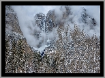 Park Narodowy Yosemite, Kalifornia, Stany Zjednoczone, Drzewa, Góry, Mgła