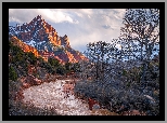 Stany Zjednoczone, Utah, Park Narodowy Zion, Rzeka, Virgin River, Góry, Góra Watchman, Drzewa