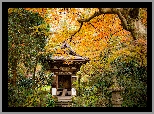 Park, Drzewa, Świątynia, Pagoda, Jesień