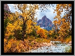 Park Narodowy Zion, Góra Watchman, Rzeka, Virgin River, Kamienie, Drzewa, Jesień, Stan Utah, Stany Zjednoczone